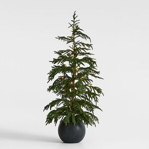 Crate&Barrel Crate&Barrel Prelit LED lights Norfolk Pine Tree 4’